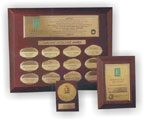 The Cawley Company - Perpetual Awards